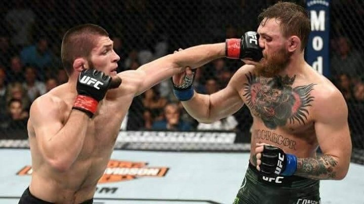 Conor McGregor getting punched