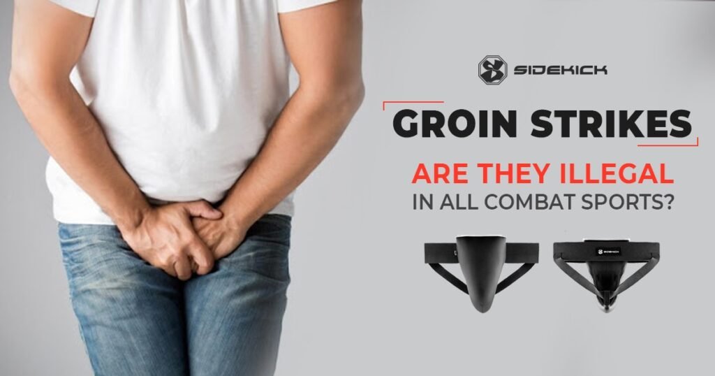 Groin Strikes Are They Illegal In All Combat Sports? Sidekick Boxing