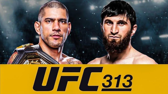 Check out the official poster for UFC 313, featuring the highly anticipated matchup between Alex Pereira and Magomed Ankalaev